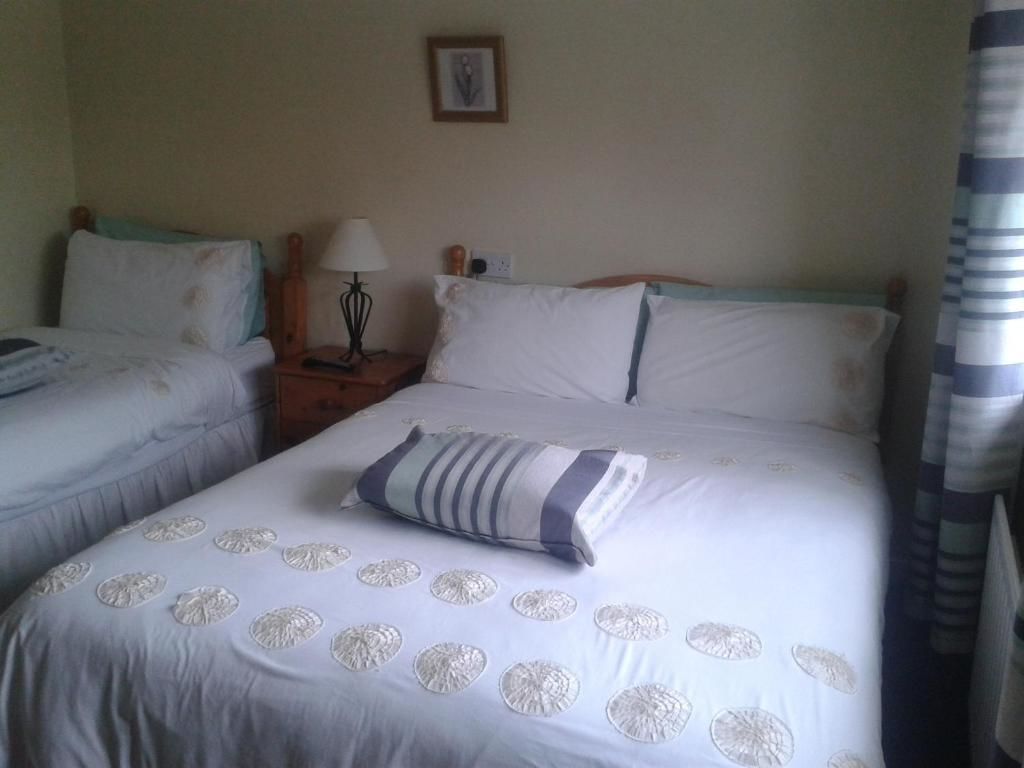 Отели типа «постель и завтрак» Ryebrook House Килларни-44